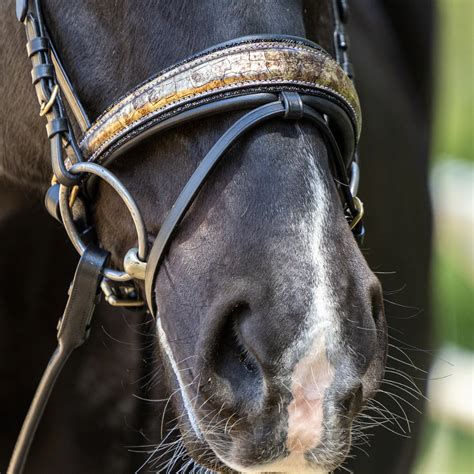 hermes bridles|hermes horse bridle price.